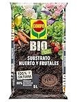 Los Mejores Substratos para Acuarios: Análisis y Comparativa de Productos para tus Peces