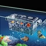 Análisis de los mejores peces para tu acuario: guía de compra y comparativa en la venta de peces