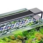 Los mejores productos para tu acuario con cíclidos: Guía de análisis y comparativa