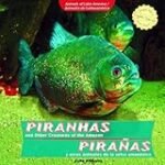 Análisis de las pirañas del Amazonas: curiosidades y comparativa de sus productos destacados