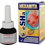 Guía completa de Esha Hexamita: Análisis y comparativa de los mejores productos para tratar esta enfermedad en peces