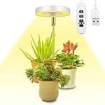 La importancia de la luz para las plantas en el acuario: ¡Descubre cómo elegir la mejor opción para tus peces!