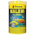 Análisis y comparativa de los peces más coloridos del acuario Malawi: ¡Descubre su fascinante mundo acuático!