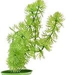Guía de productos para aquascaping marino: descubre lo mejor para crear un acuario vibrante