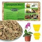 Análisis de sphagnum moss: el mejor sustrato para peces y curiosidades acuáticas