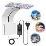 ¿Por qué los peces necesitan luz en una pecera? Descubre su importancia y los mejores productos en iluminación para acuarios