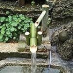 Fuente de Bambú: Una opción natural para mejorar la calidad de vida de tus peces